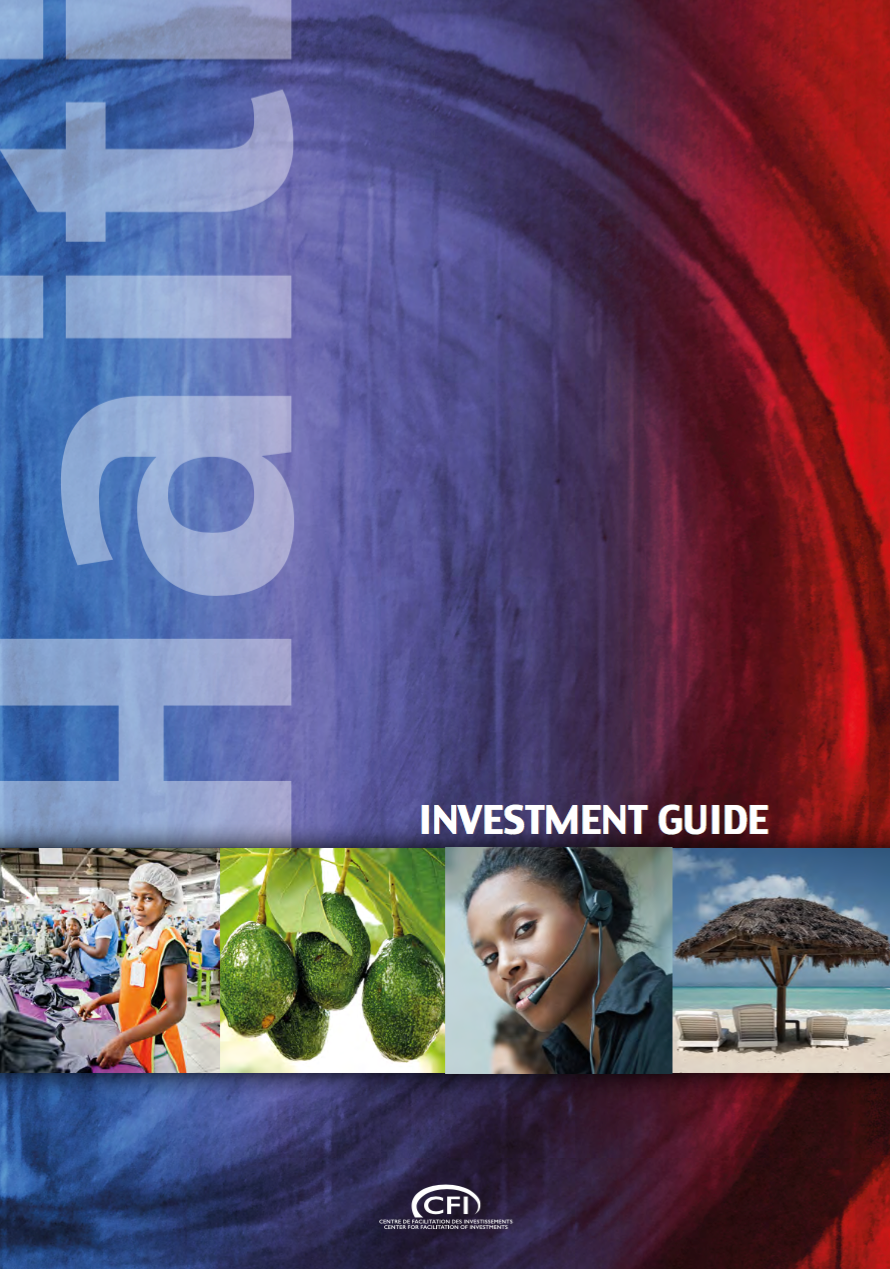 Investment Guide