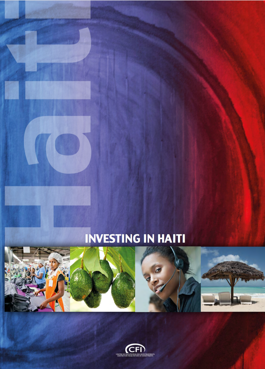 Investing in Haiti
